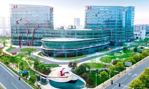 S'Young International, a new Chinese cosmetic giant?