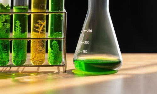 Berkem signs a distribution agreement in India for its cosmetic ingredients