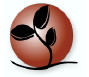 Beraca wins UN award for sustainable development initiative