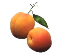 Natural and organic cosmetic standards are proliferating