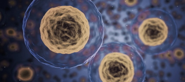 Understanding intercellular communication in the skin tissue