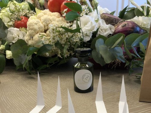 Symrise plants garden in perfumer's palette