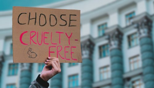“Industry is not looking for loopholes,” says CTPA about ban on animal testing