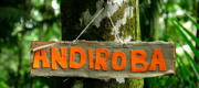 “The Amazon's biodiversity is a strategic area of research,” Eder Leopoldo Ramos, Symrise